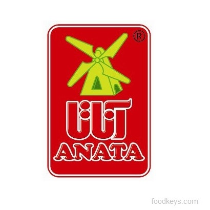 لوگوی گروه صنعتی نجاتی با نام تجاری آناتا
